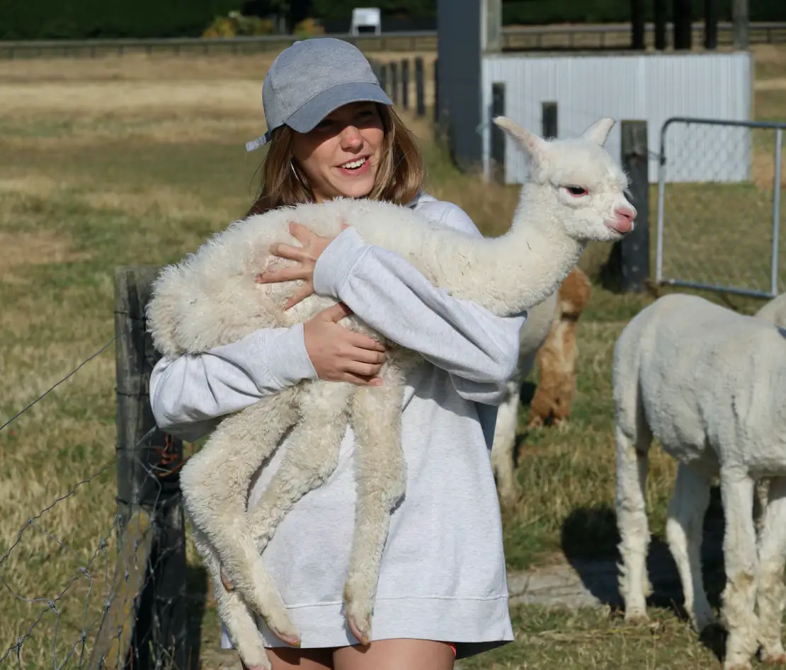 Happy customer holding Alpacas in her arms
